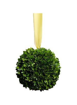 Preserved Boxwood Ball, in 4 Sizes