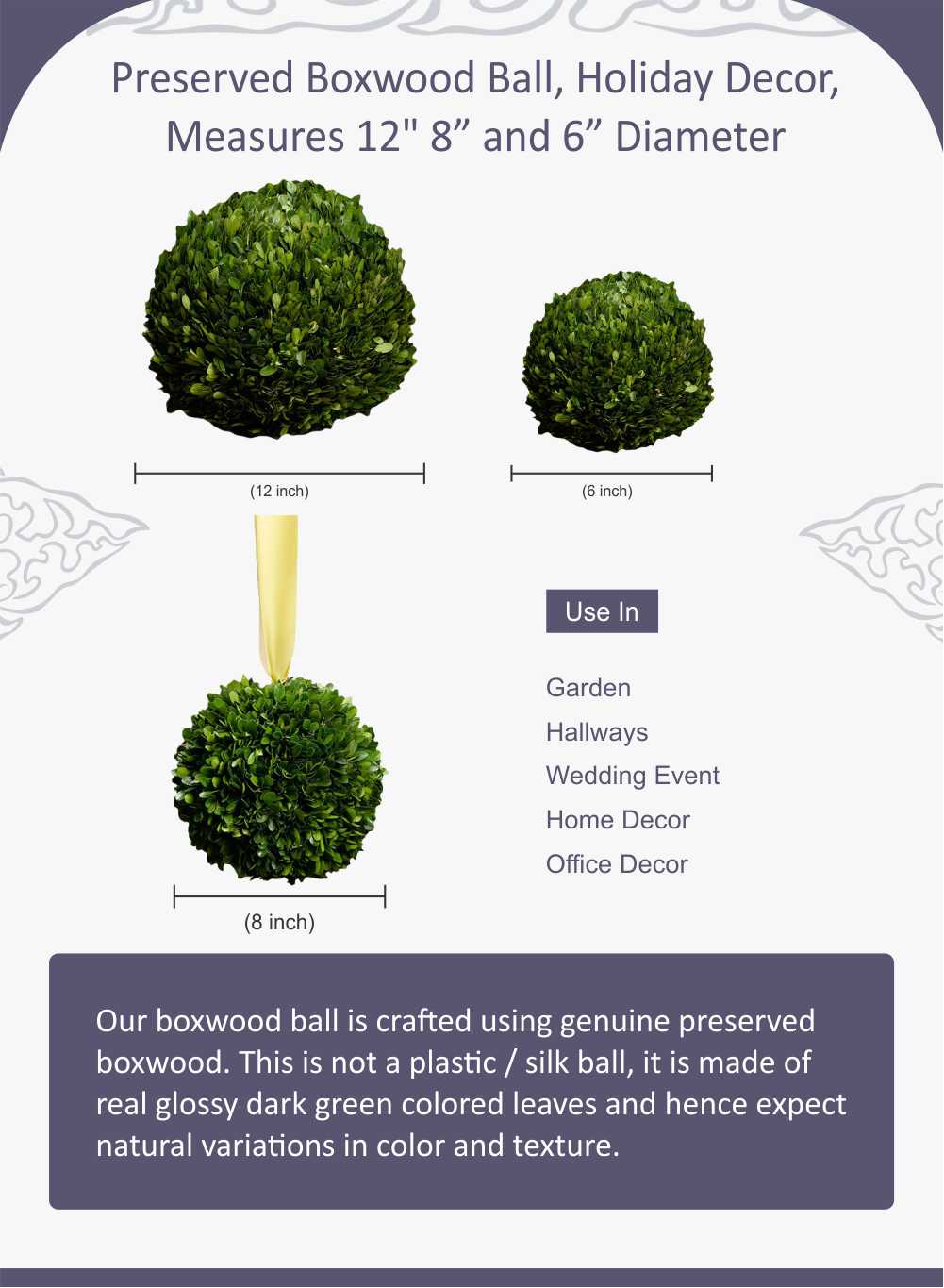 Preserved Boxwood Ball, in 4 Sizes