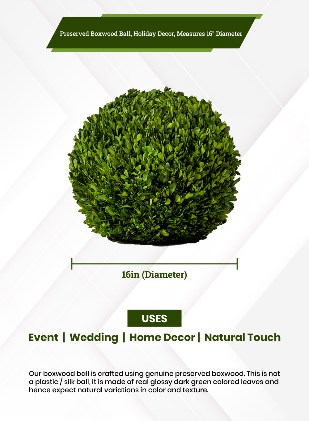 Preserved Boxwood Ball, in 4 Sizes