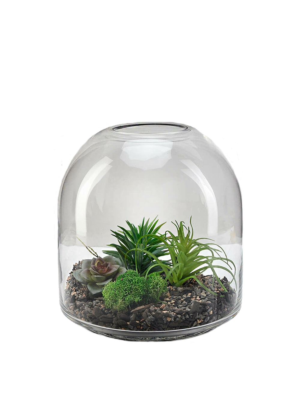 Dome Glass Terrarium, In 2 Sizes