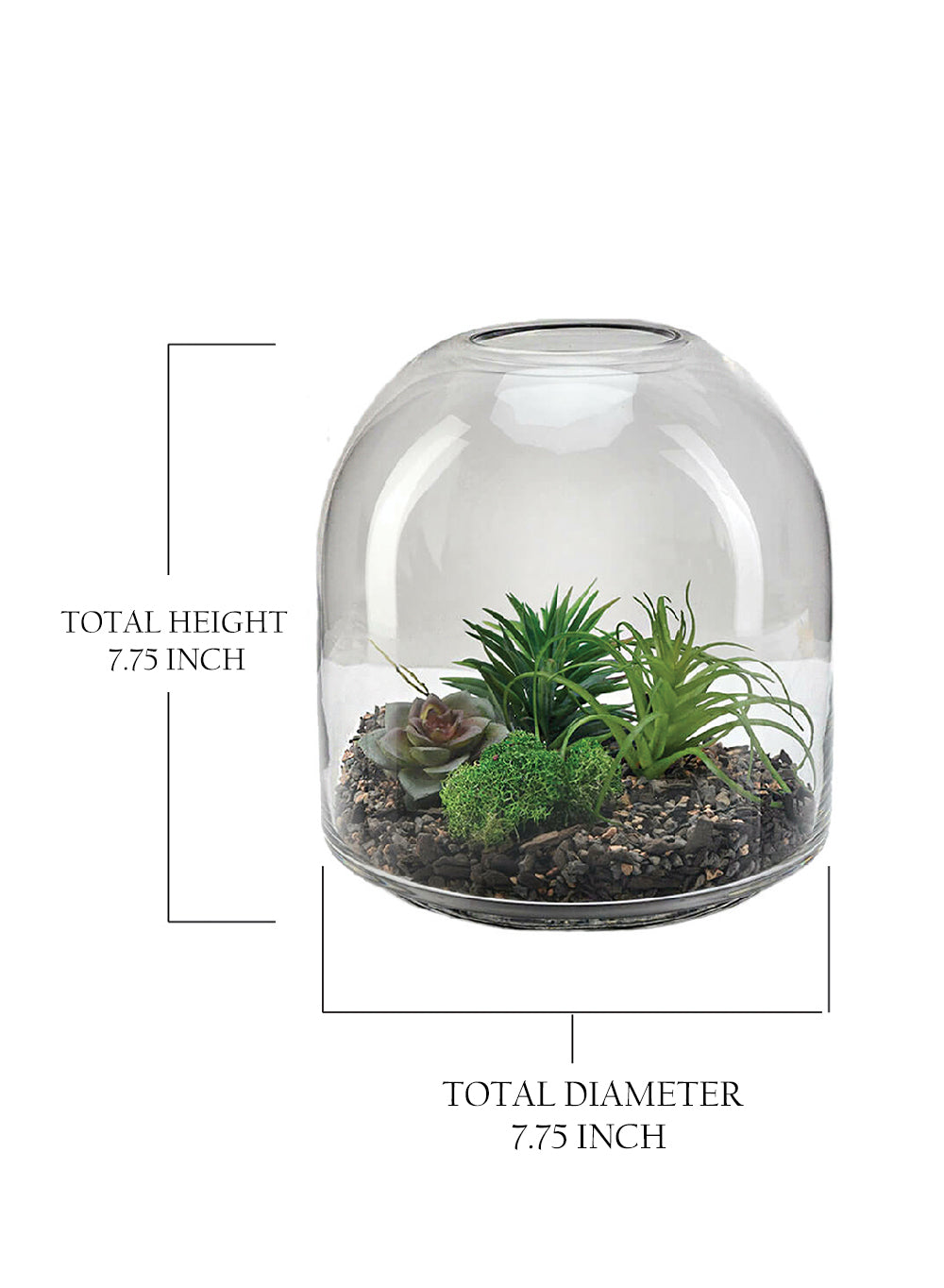 Dome Glass Terrarium, In 2 Sizes