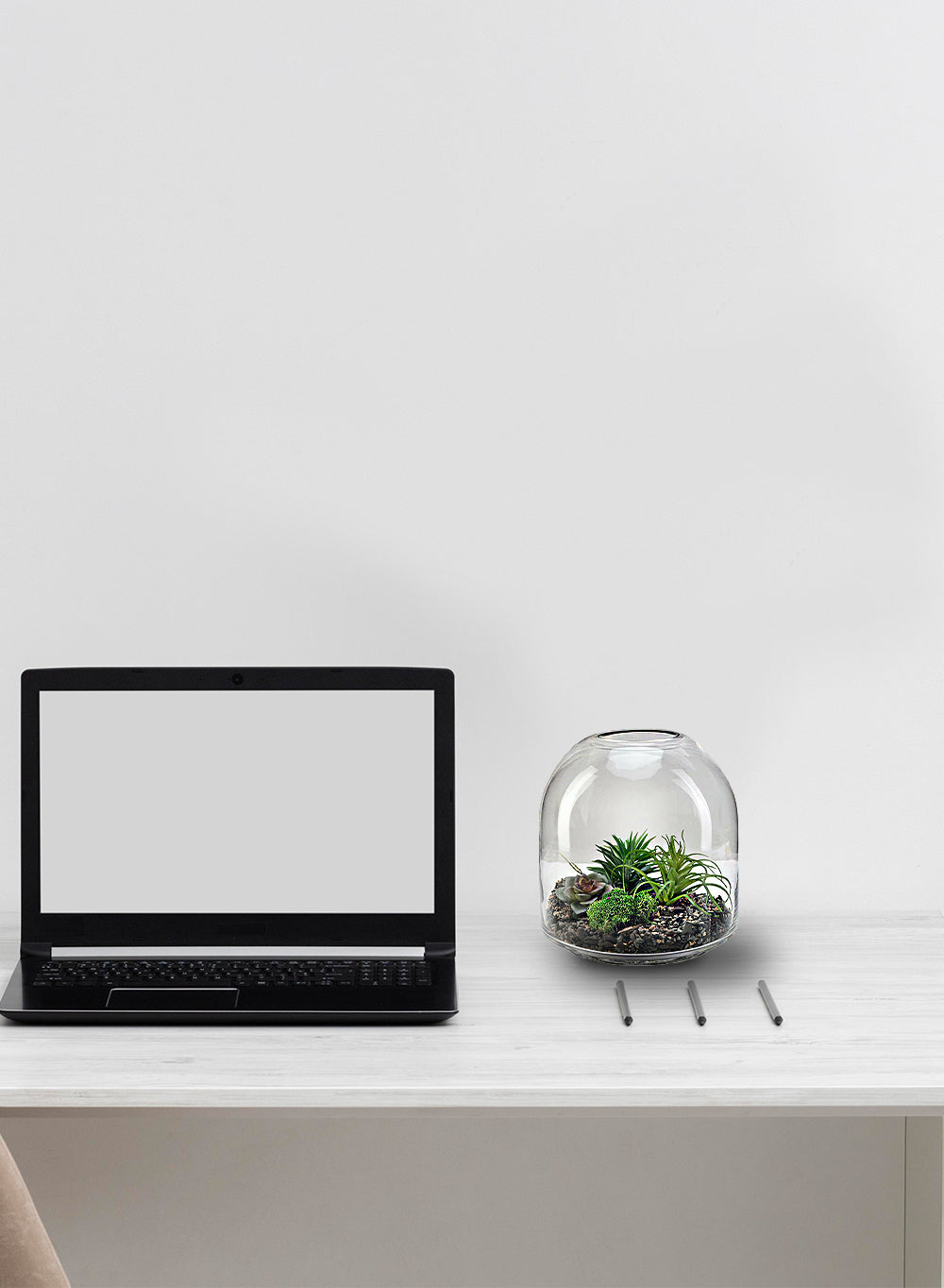 Dome Glass Terrarium, In 2 Sizes