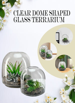 Dome Glass Terrarium, In 2 Sizes
