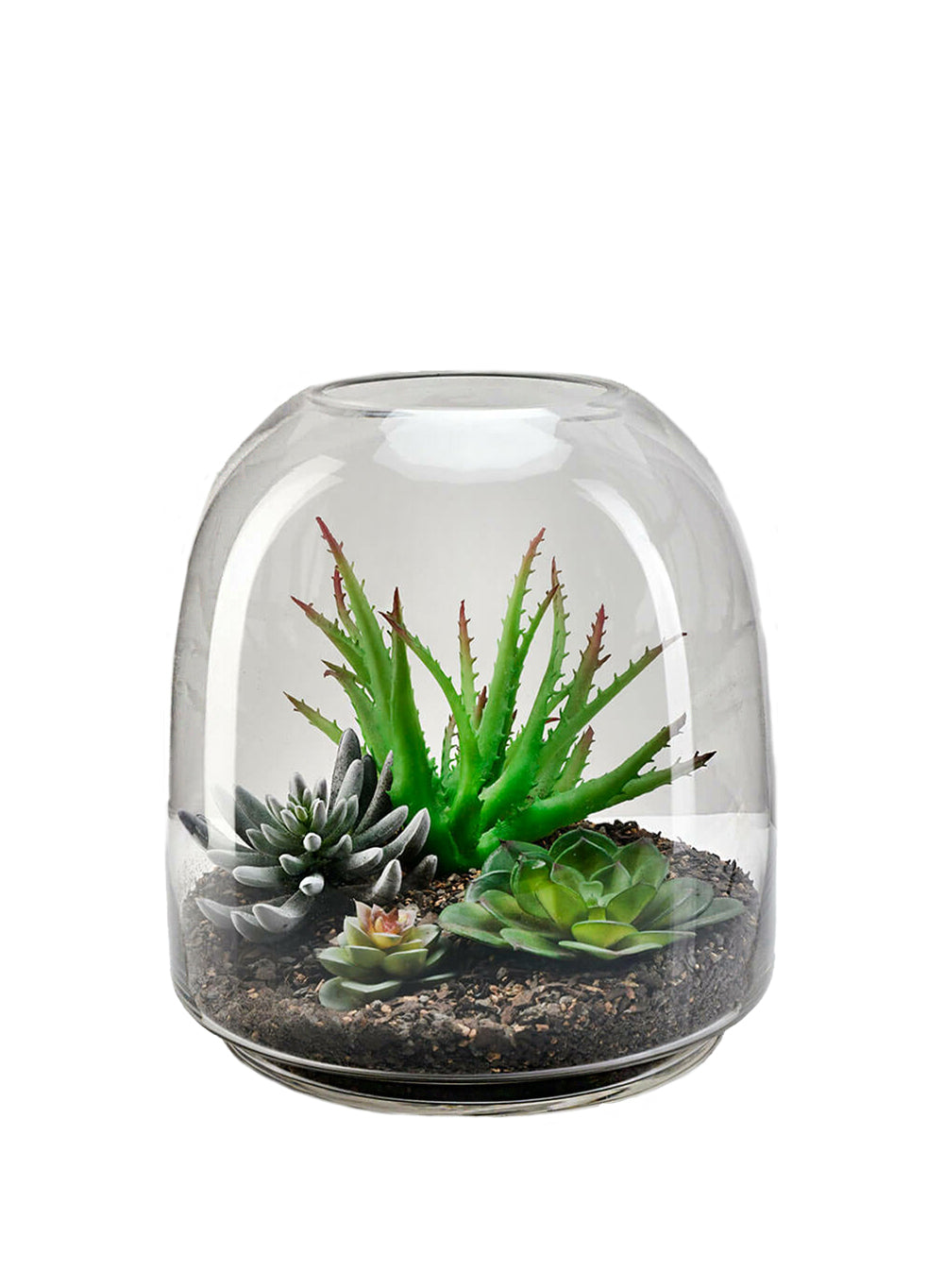 Dome Glass Terrarium, In 2 Sizes