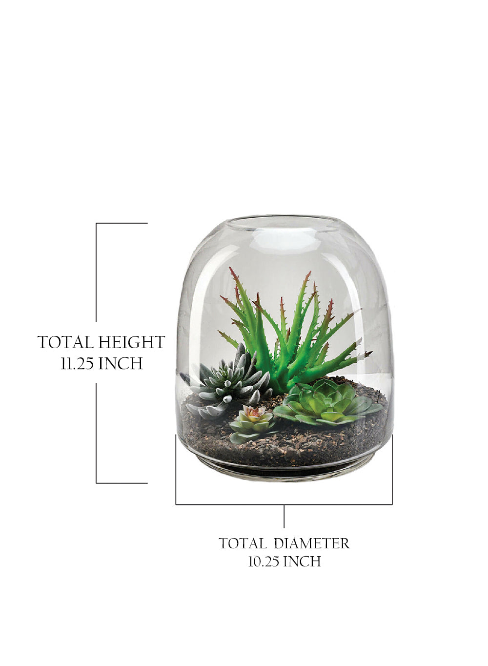 Dome Glass Terrarium, In 2 Sizes