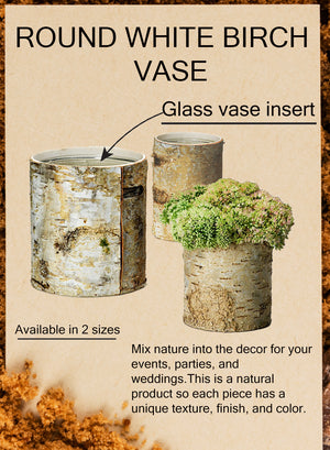 6.5" White Birch Bark Vase