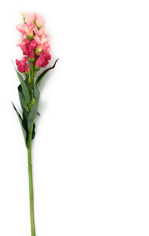 Serene Spaces Living Pink Snapdragon, Perfect for Permanent Floral Arrangements, Measures 23" Tall