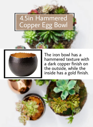 Hammered Copper Decorative Bowl, 2 Size Available