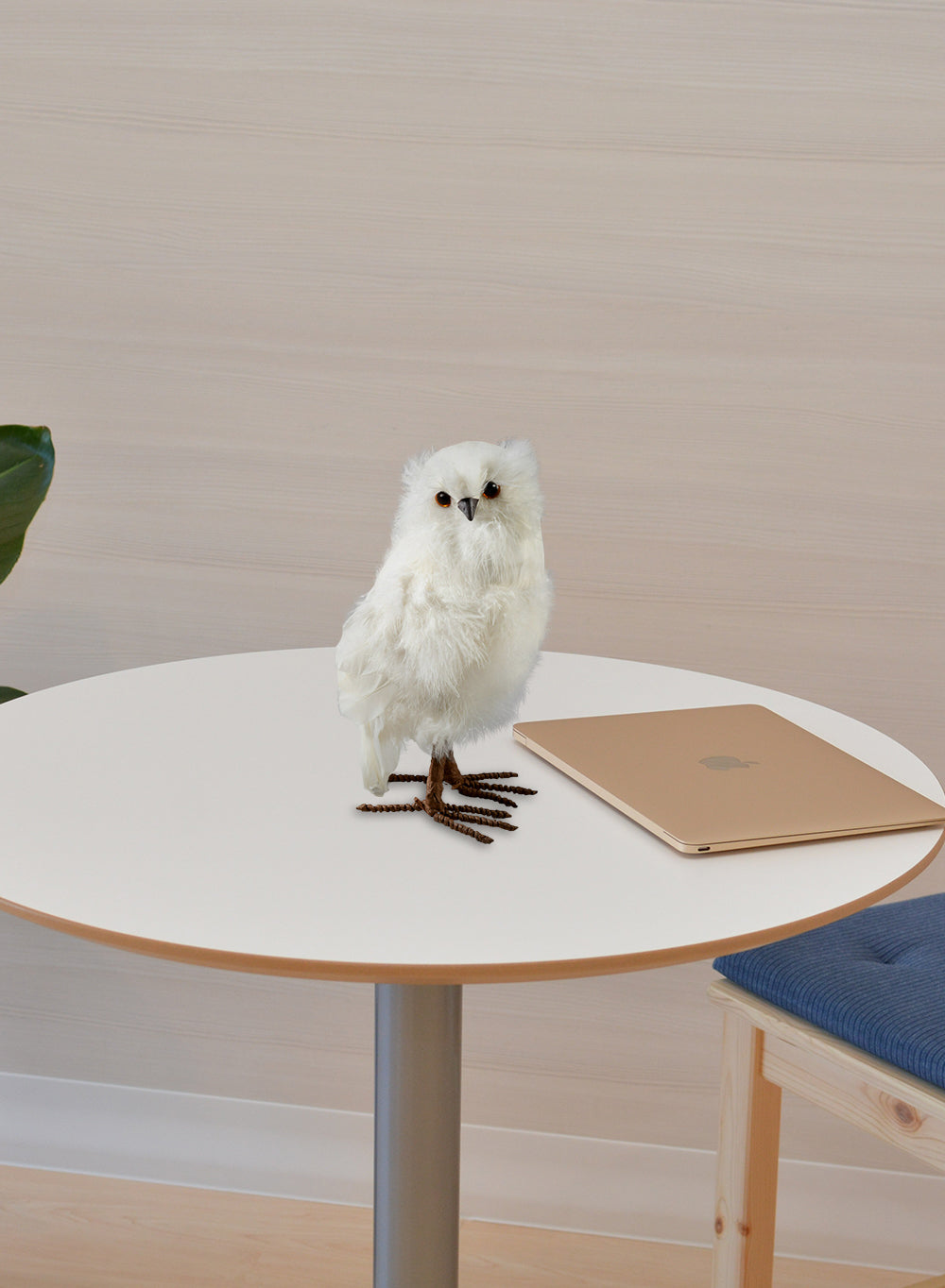 Feathered Artificial White Owl, in 2 Sizes