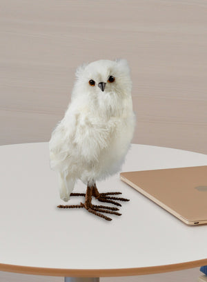 Feathered Artificial White Owl, in 2 Sizes