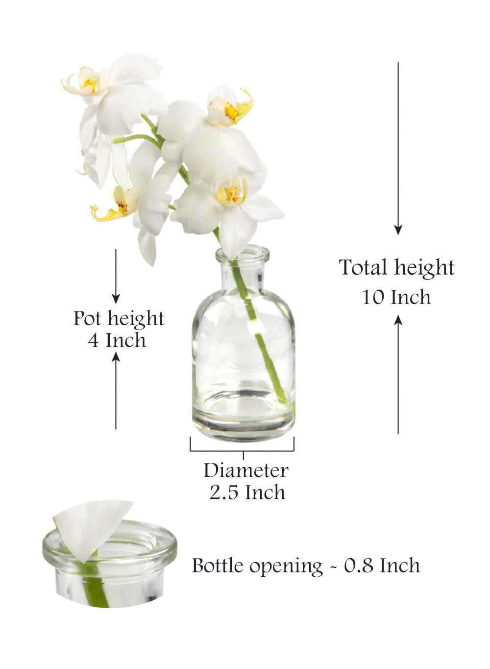 10" Faux White Phalaenopsis Orchid in Glass Bottle - Set of 2