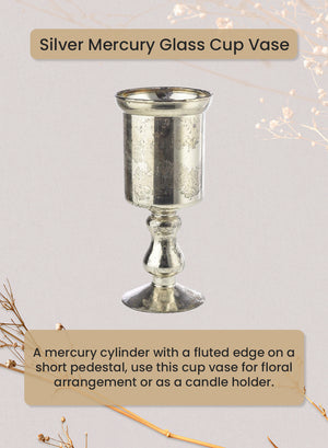 Serene Spaces Living Silver Mercury Glass Vases, Single