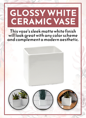 Ceramic Vases, 5.75" Square & 5" Tall, In 2 Color