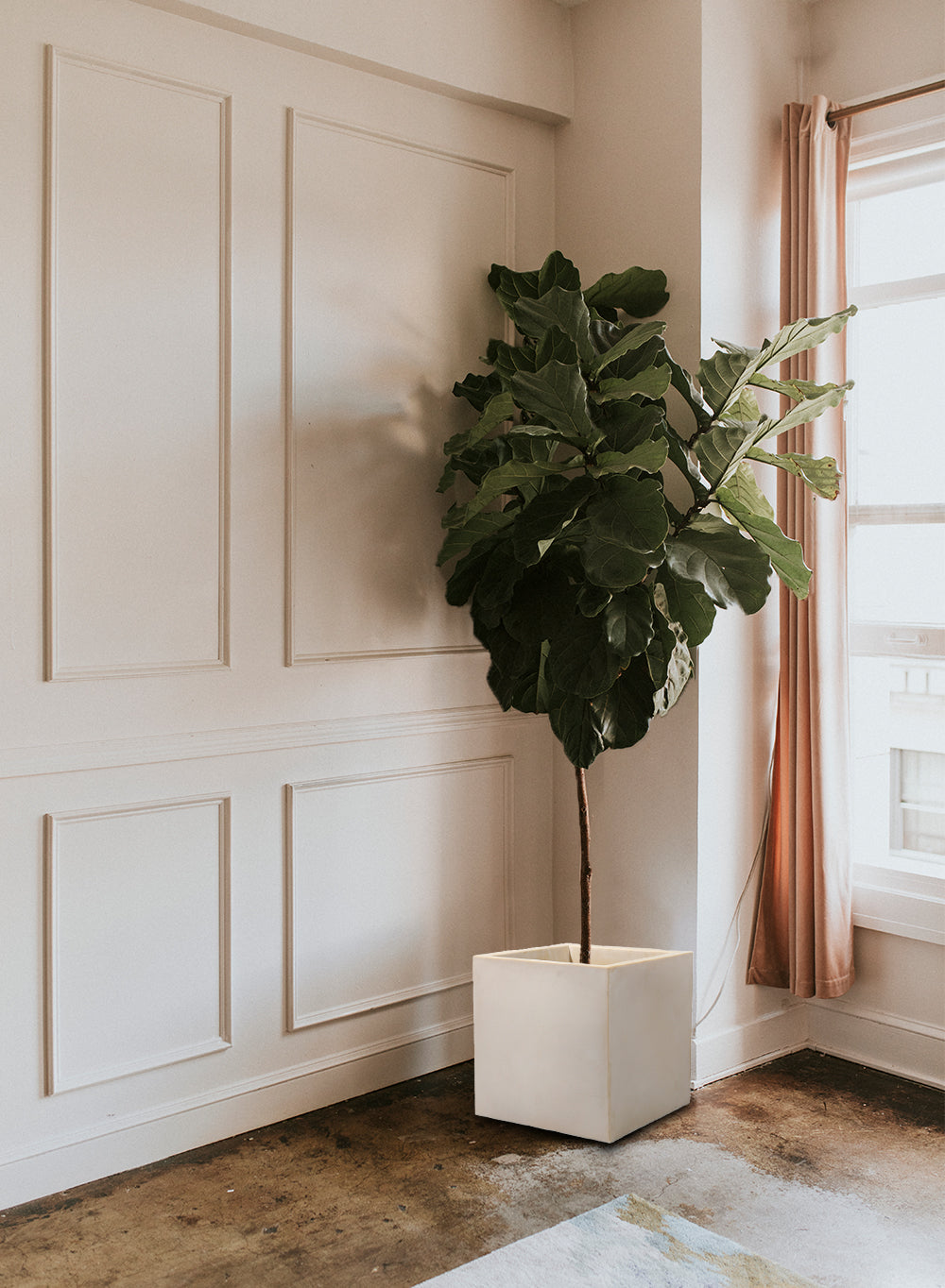 Vintage White Stone-Textured Planter Box, in 2 Sizes