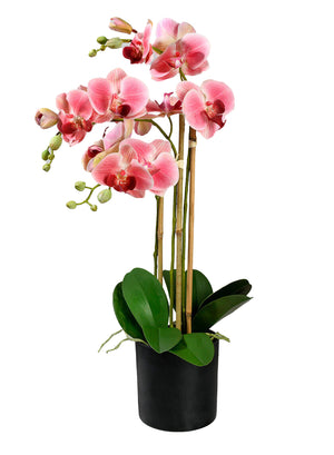 Potted Faux Phalaenopsis Orchids, 5" Diameter & 26" Tall, in 2 Colors
