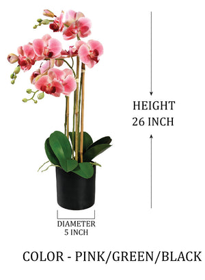 Potted Faux Phalaenopsis Orchids, 5" Diameter & 26" Tall, in 2 Colors