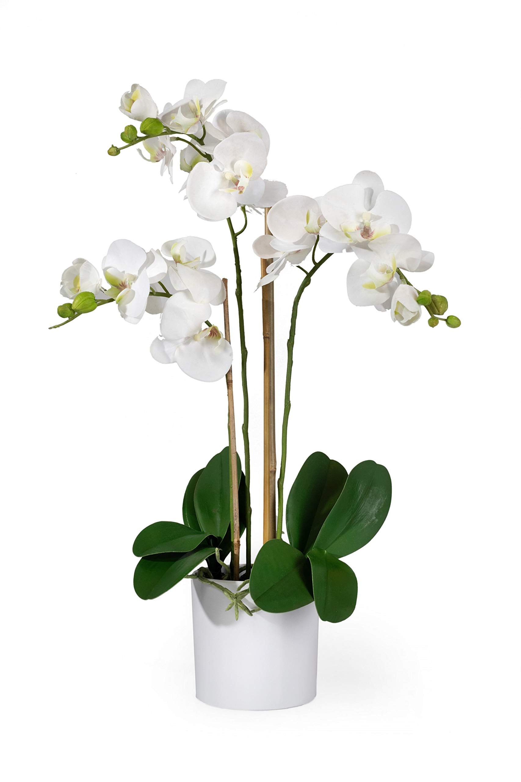 Potted Faux Phalaenopsis Orchids, 5" Diameter & 26" Tall, in 2 Colors