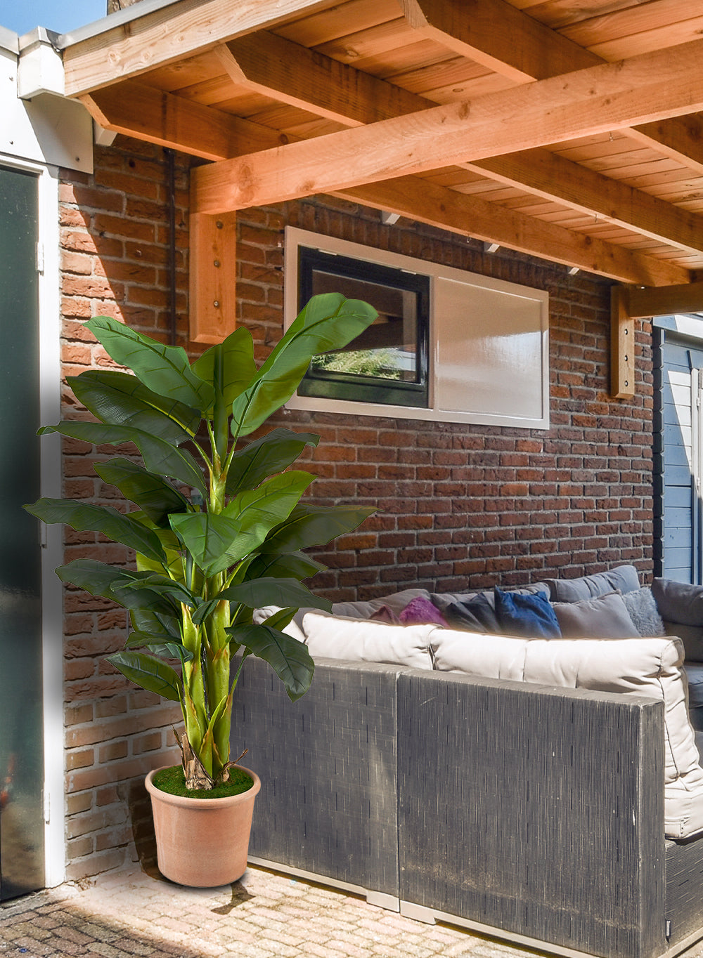 Large Faux Banana Tree in an Orange Pot, 16" Diameter & 65" Tall