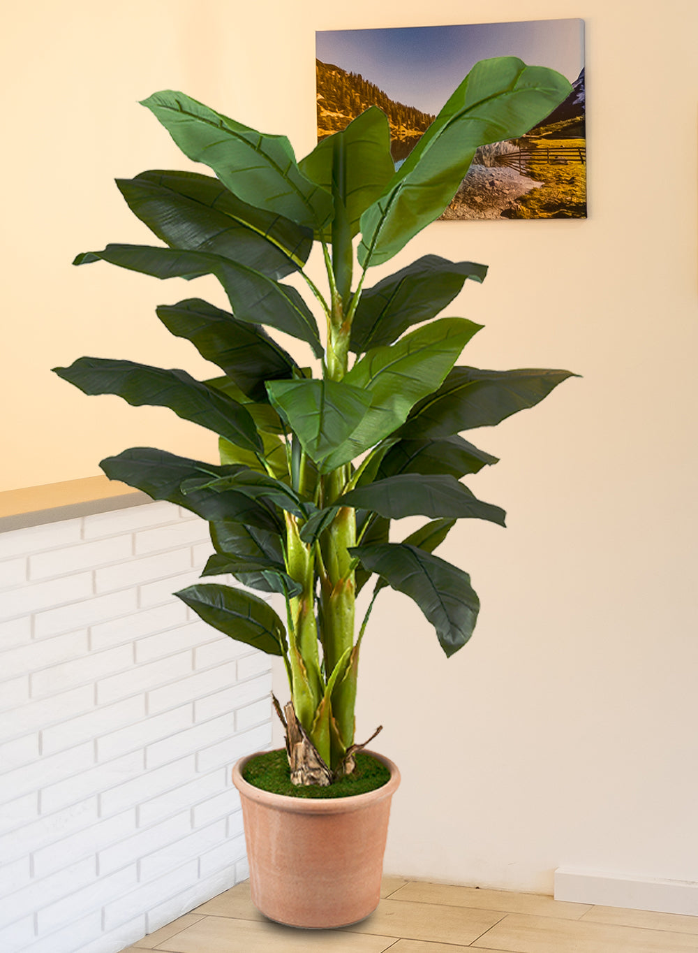 Large Faux Banana Tree in an Orange Pot, 16" Diameter & 65" Tall