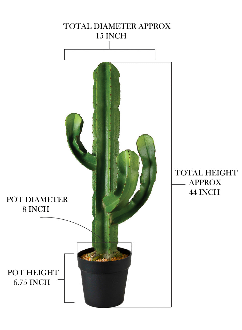 Candelabra Cactus in Gray Pot, 15" Diameter & 44" Tall