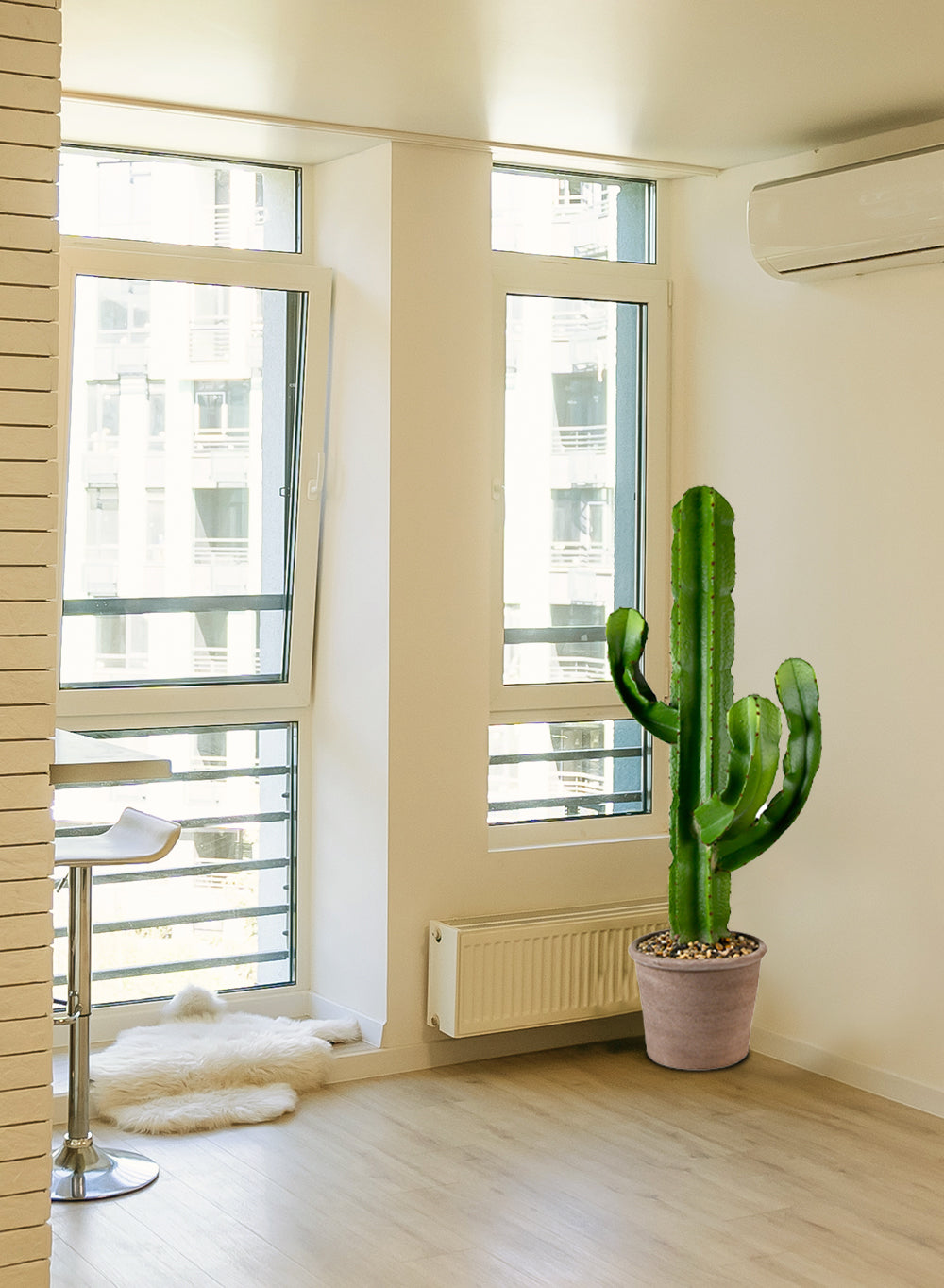 Candelabra Cactus in Gray Pot, 15" Diameter & 44" Tall