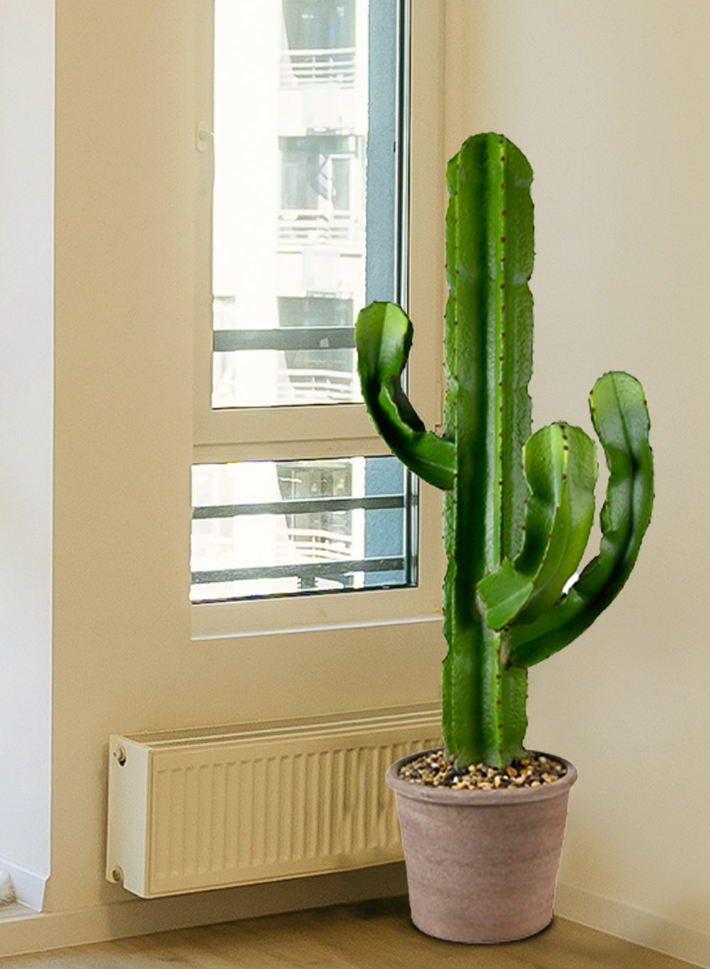 Candelabra Cactus in Gray Pot, 15" Diameter & 44" Tall