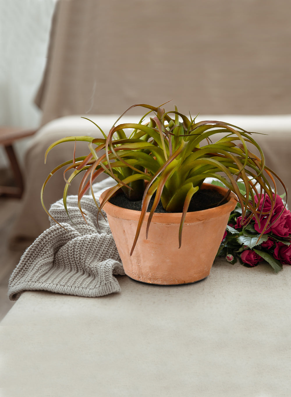 Faux Tillandsia in A Pot, 12" Diameter & 8" Tall