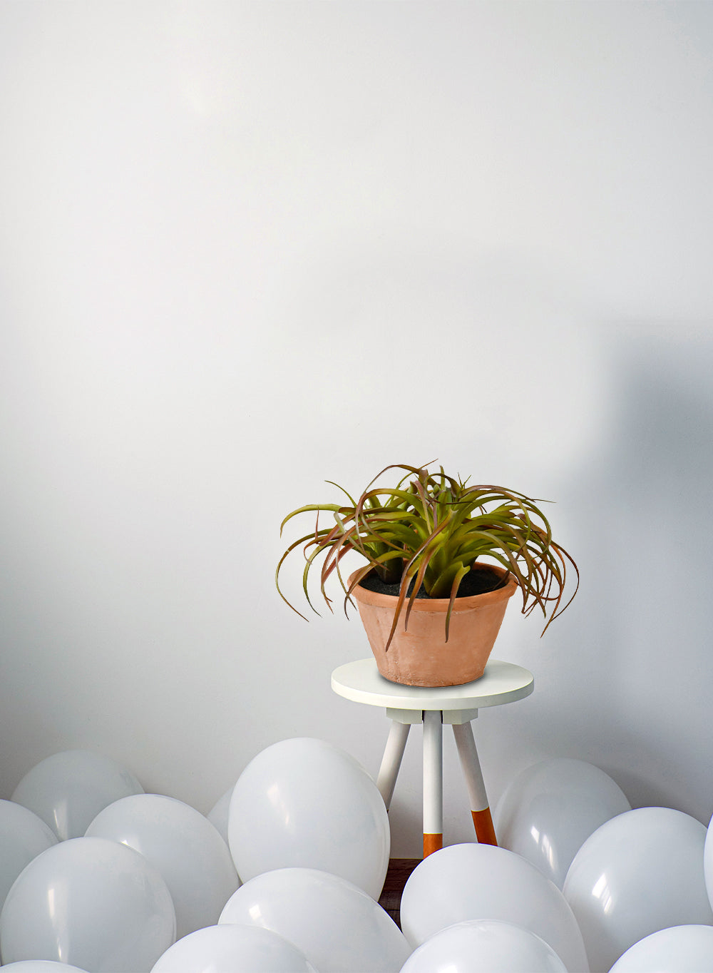 Faux Tillandsia in A Pot, 12" Diameter & 8" Tall