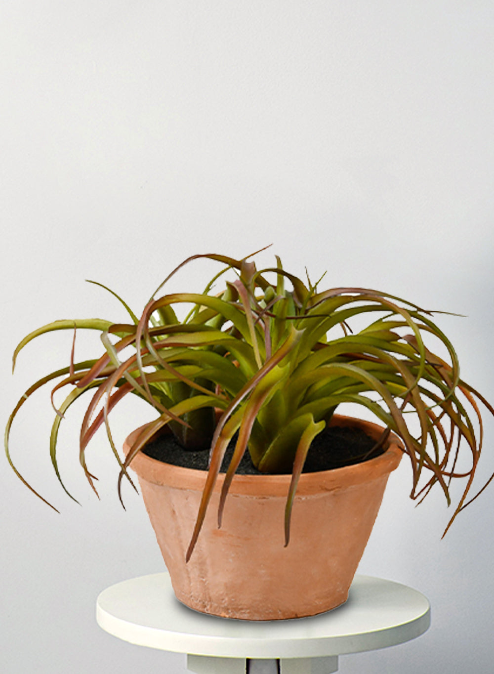 Faux Tillandsia in A Pot, 12" Diameter & 8" Tall