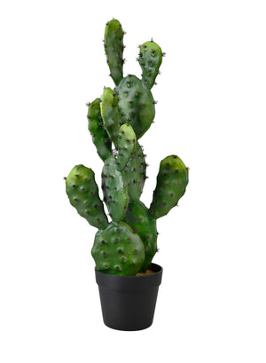 Faux Prickly Pear Cactus in Black Pot, 11" Diameter & 27" Tall
