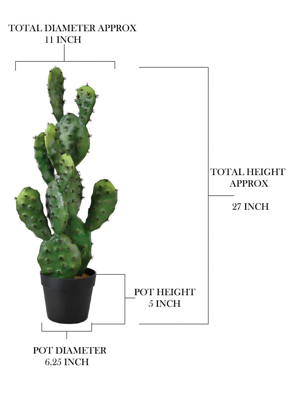 Faux Prickly Pear Cactus in Black Pot, 11" Diameter & 27" Tall