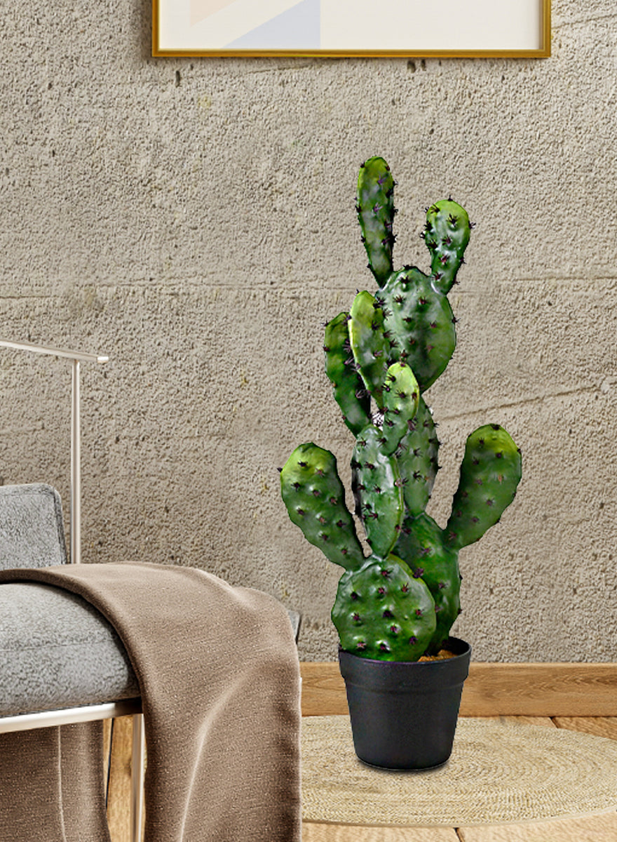 indoor prickly pear cactus Serene Spaces Living Artificial Potted Prickly Pear Cactus, 11