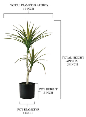 Faux Yucca Tree in Black Pot, 16" Diameter & 28" Tall