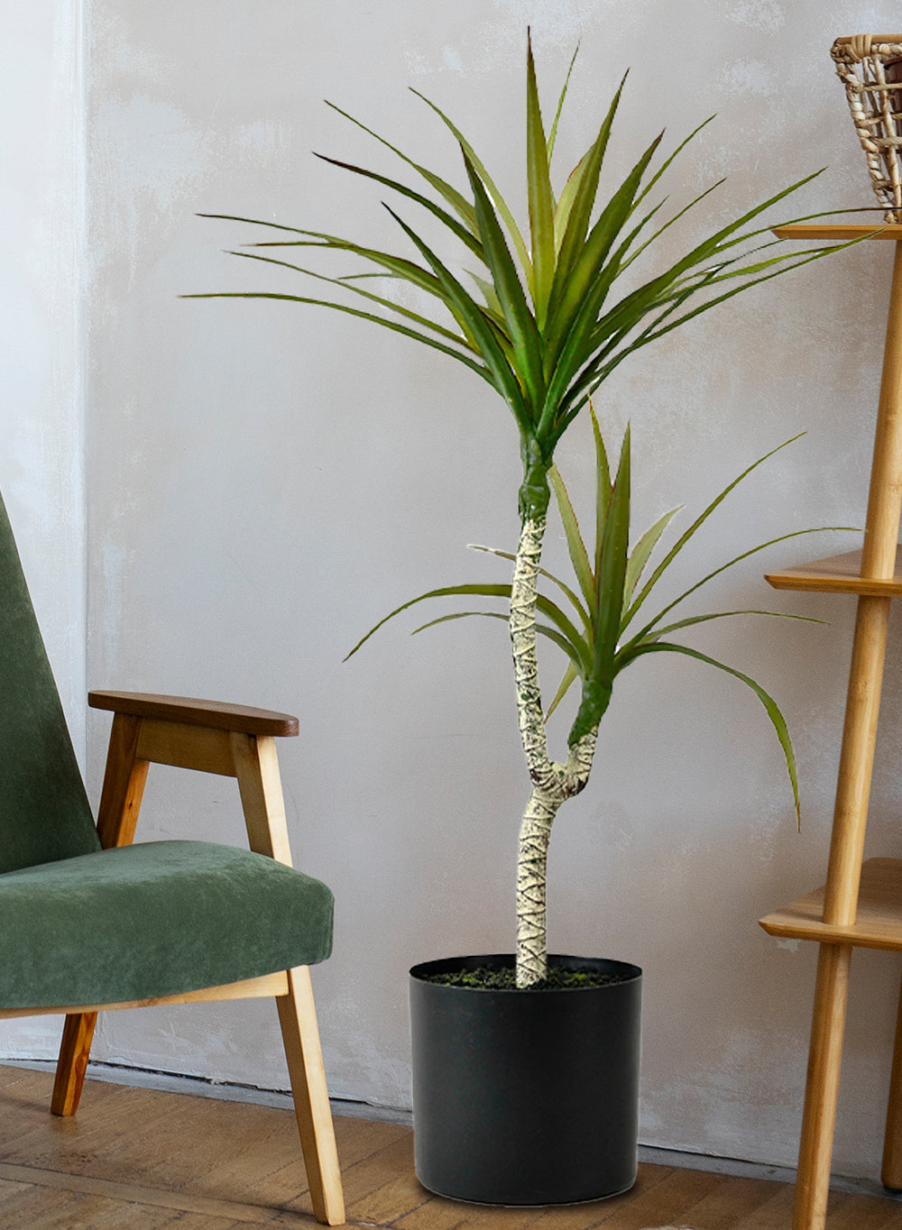 Faux Yucca Tree in Black Pot, 16" Diameter & 28" Tall