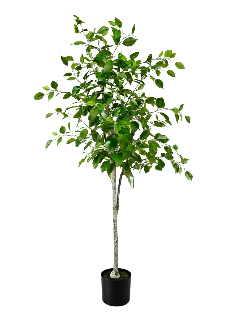 Artificial Ficus Tree in Black Pot, 16" Diameter & 59" Tall