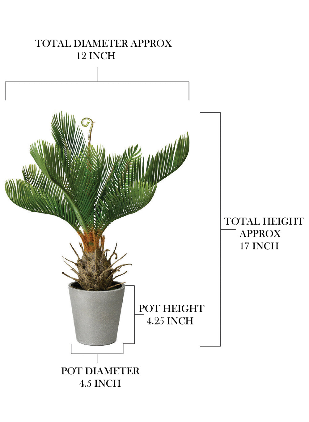 Faux Cycad Tree in Cement Pot, 12" Diameter & 17" Tall