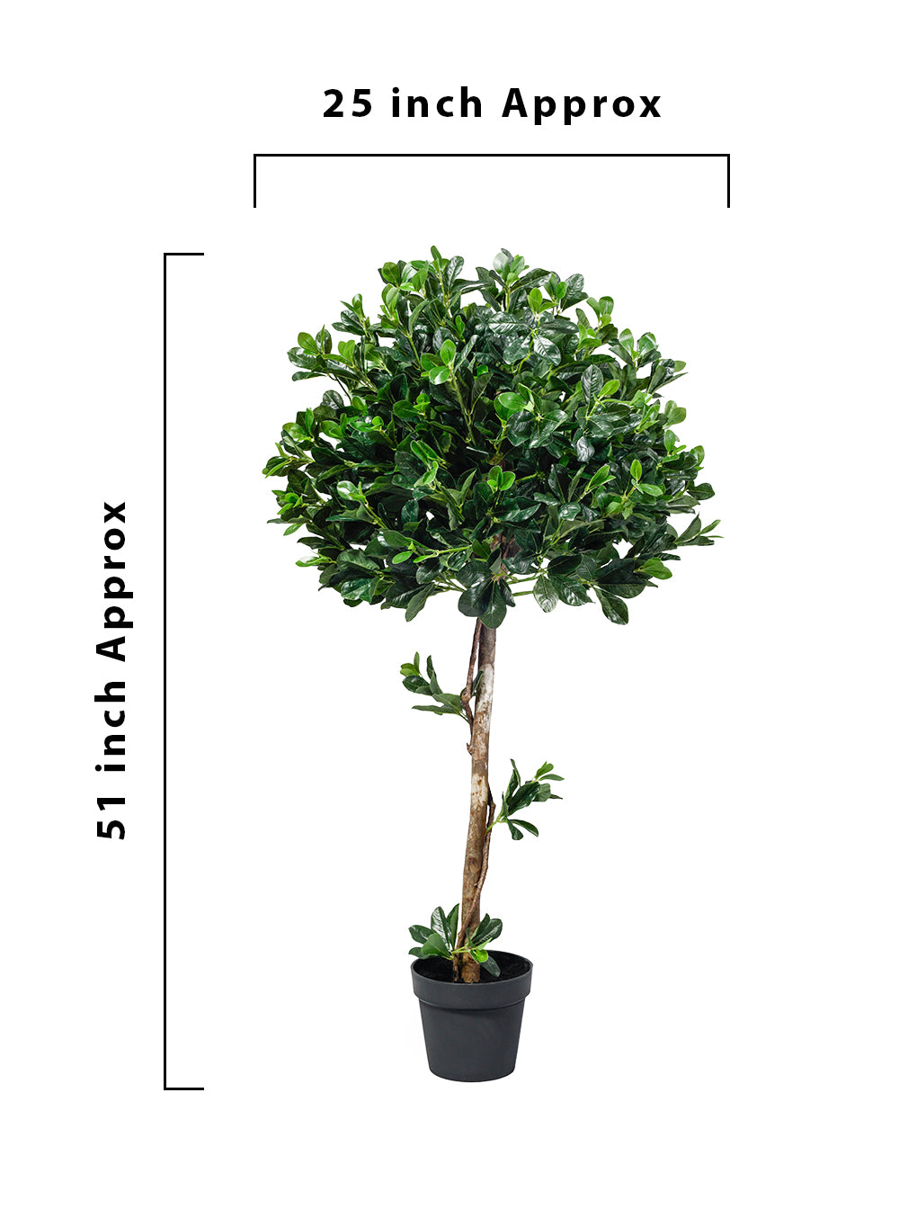 Artificial Wild Coffee Tree in Classic Black Pot, 25" Diameter & 51" Tall