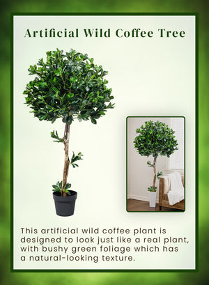 Artificial Wild Coffee Tree in Classic Black Pot, 25" Diameter & 51" Tall