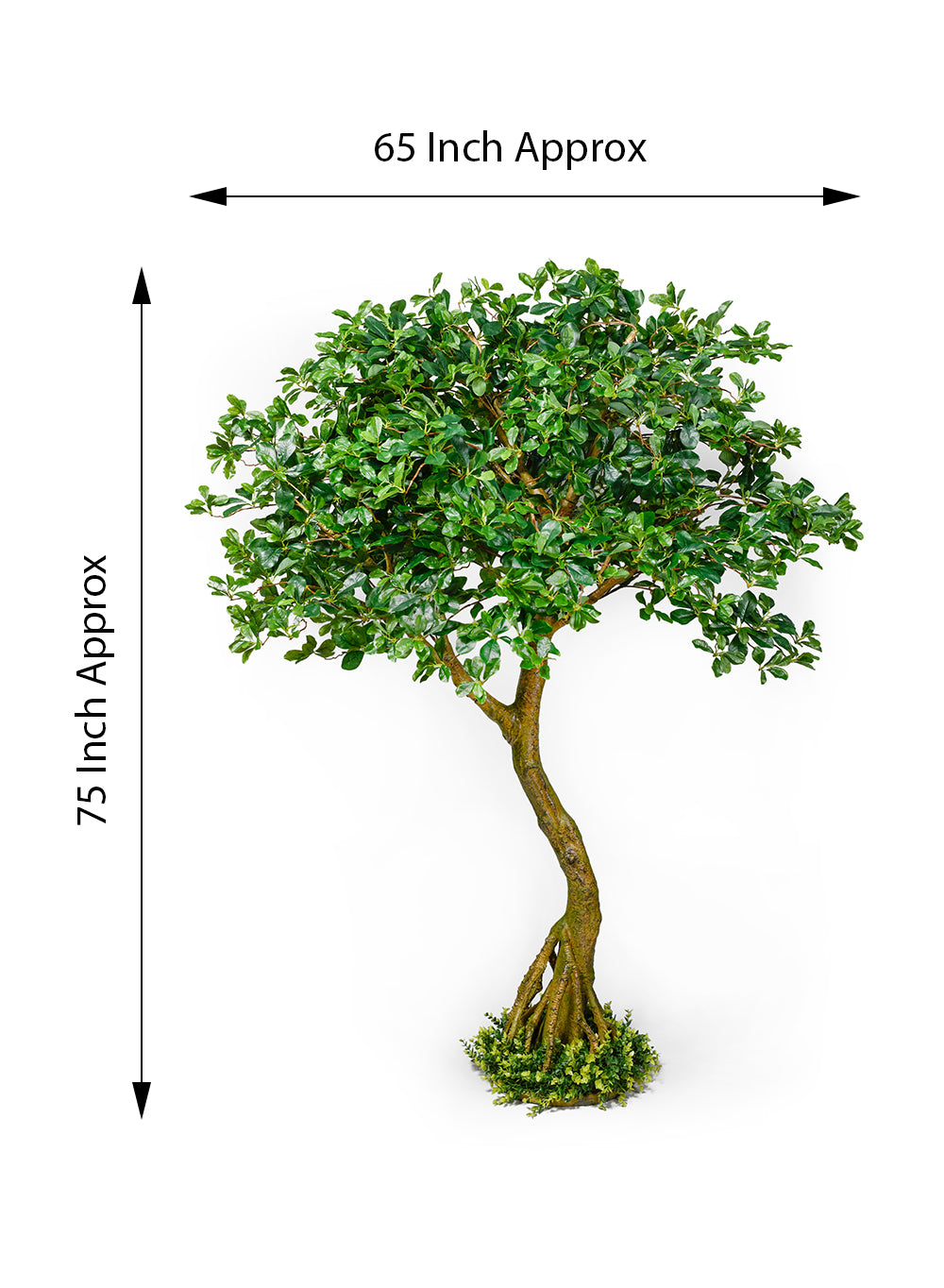 Real-Looking Schefflera Umbrella Tree Plant, 75" Tall