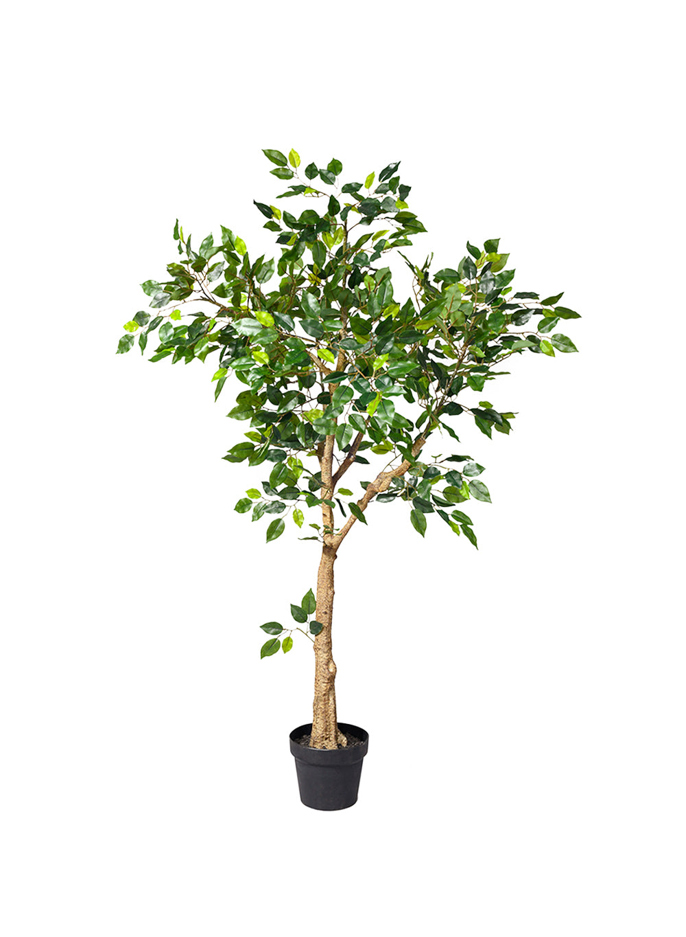 Artificial Fig Tree in Classic Black Pot, 30" Diameter & 54" Tall