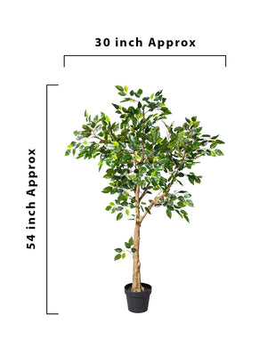 Artificial Fig Tree in Classic Black Pot, 30" Diameter & 54" Tall