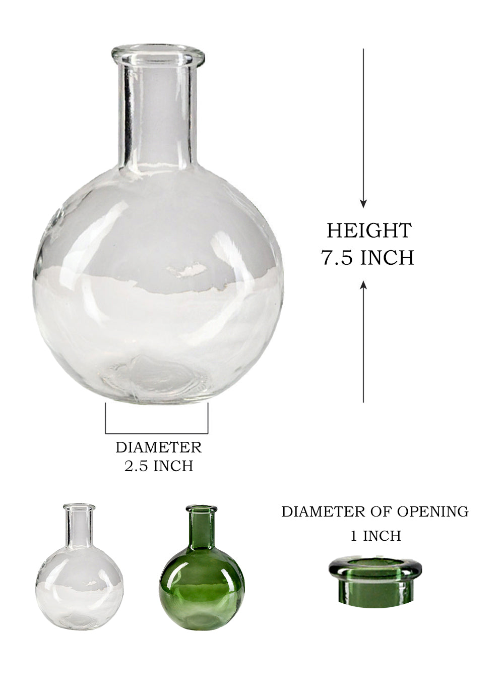 Serene Spaces Living Set of 2 and 16 Bottleneck Bulb Glass Vase, 5.3" D & 7.48" T, in 2 Colors