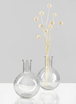 Serene Spaces Living Set of 2 and 16 Bottleneck Bulb Glass Vase, 5.3" D & 7.48" T, in 2 Colors