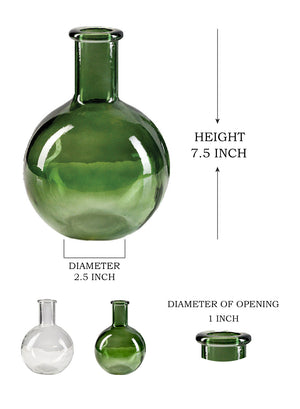 Serene Spaces Living Set of 2 and 16 Bottleneck Bulb Glass Vase, 5.3" D & 7.48" T, in 2 Colors