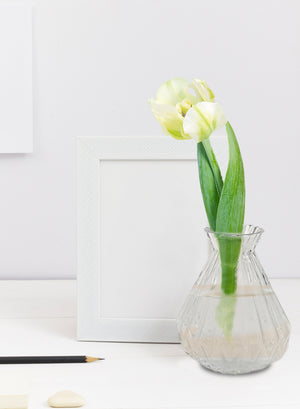 Serene Spaces Living Set of 4 Glass Bud Vases, Available in 2 Sizes