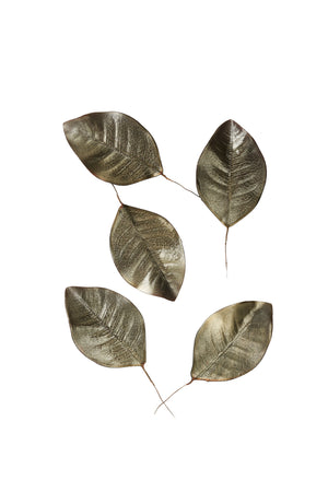Serene Spaces Living Platinum Metallic Magnolia Leaves, Holiday Décor and Arrangements, Set of 5