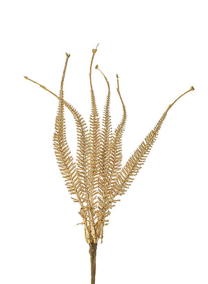 Serene Spaces Living Set of 12 Gold Fern Picks for Bouquets & Crafts, 10" Tall