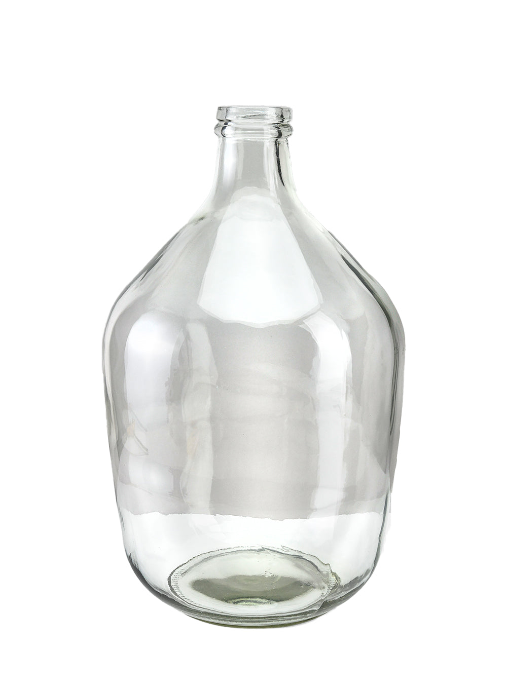 Glass Bottle Vase, in 2 Sizes