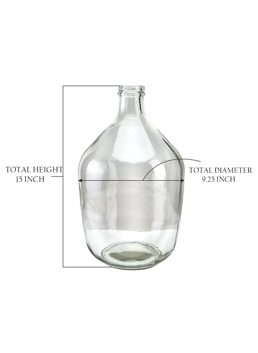 Glass Bottle Vase, in 2 Sizes