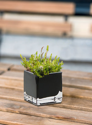 Black Glass Cube Vase, 3" Cube, Sold Individually & as Set of 12